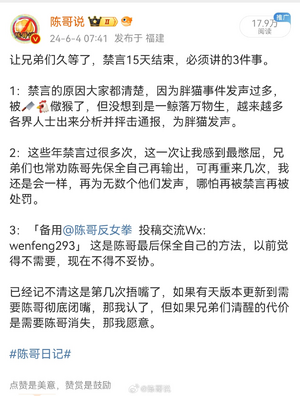 胖猫跳江事件1.png